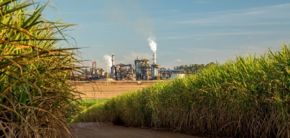 150 t/ha: Como o CTC quer dobrar a produtividade da cana até 2040