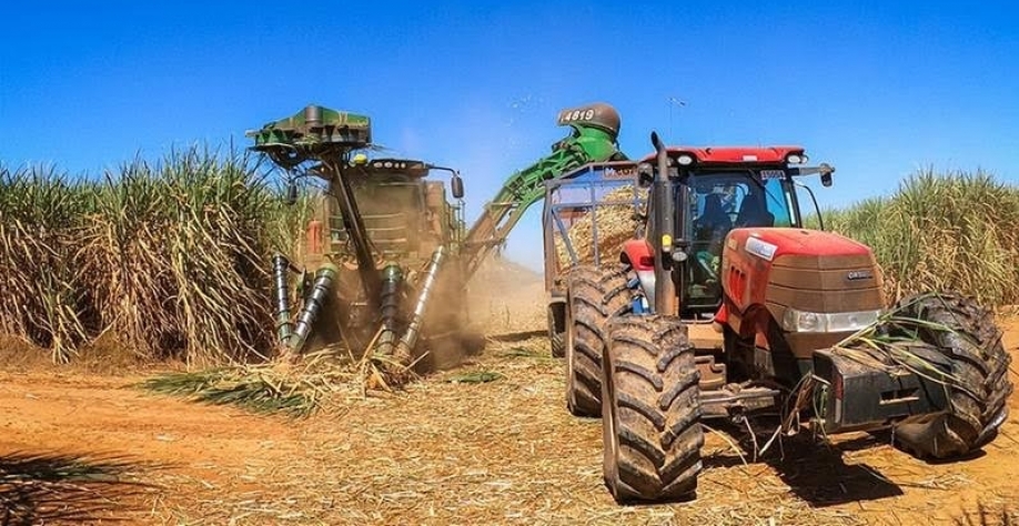 Moagem de cana-de-açúcar cresce no Norte e Nordeste na safra 2026/27