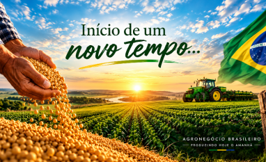 Início de um novo tempo: O gigante acordou! – Por Paulo Junqueira