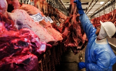 Sem China, exportações de carne bovina voltam a cair em setembro