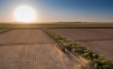 CerradinhoBio vai conectar 1,4 milhão de hectares em parceria com a Vivo