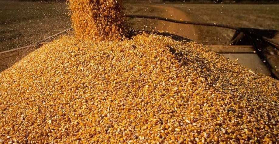 Conab vê nova safra recorde em 2026/27, com alta na soja e queda no arroz