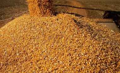 Conab vê nova safra recorde em 2026/27, com alta na soja e queda no arroz
