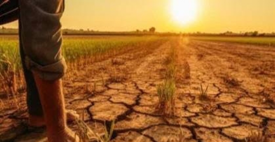 Nova lei do seguro rural amplia proteção para produtores no campo