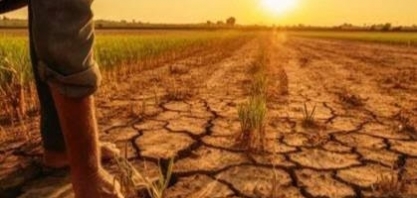 Nova lei do seguro rural amplia proteção para produtores no campo