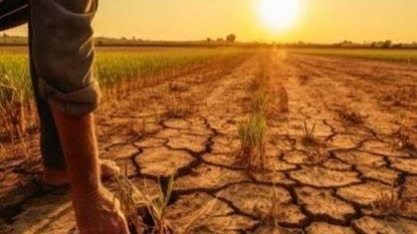 Nova lei do seguro rural amplia proteção para produtores no campo