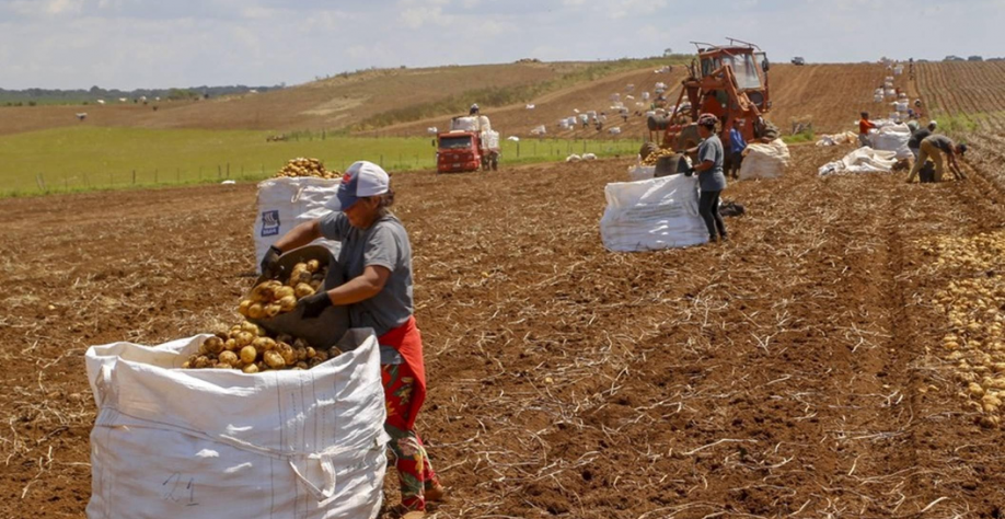 Fim da escala 6x1 preocupa entidades do agronegócio brasileiro