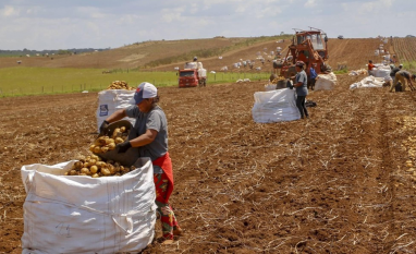 Fim da escala 6x1 preocupa entidades do agronegócio brasileiro