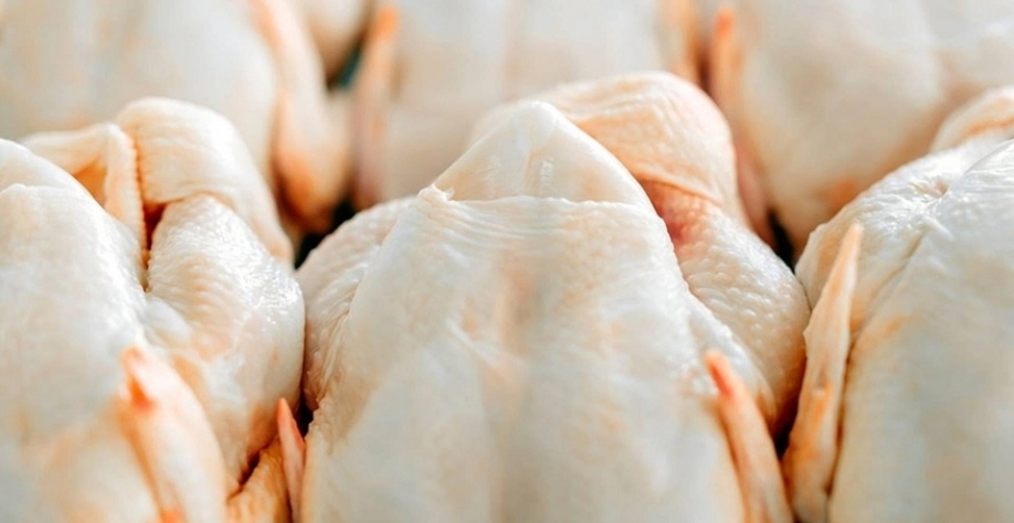 Exportações de carne de frango cresceram 3,7% em setembro