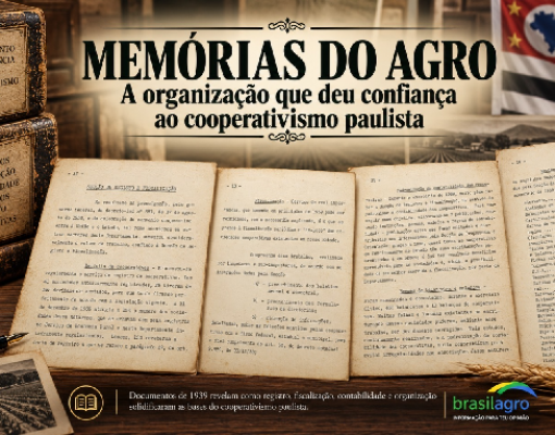Do campo aos números: A estrutura por trás do cooperativismo paulista 