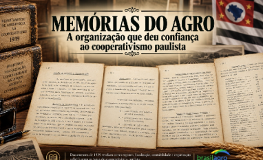Do campo aos números: A estrutura por trás do cooperativismo paulista 