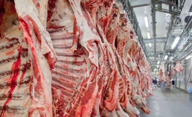 Frigoríficos movimentam R$ 63,3 bilhões no mercado de capitais, diz estudo