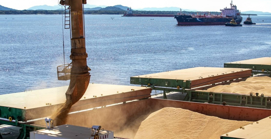 Exportação de soja em 2026 deve atingir recorde de 114 mi de toneladas