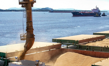 Exportação de soja em 2026 deve atingir recorde de 114 mi de toneladas