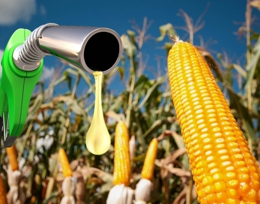 Grupo chinês quer produzir etanol de milho no Brasil