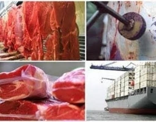 Brasil abre mercado para exportar carne bovina e miúdos à Tailândia