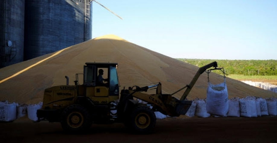 Abiove eleva estimativas de safras e exportação de soja em 2020 e 2021