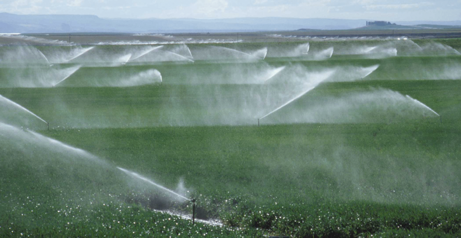 Brasil demorará 30 anos para incorporar áreas aptas à irrigação