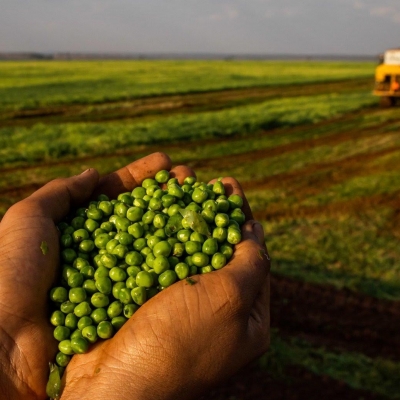 Agropecuária brasileira ajuda a salvar o planeta, diz Convenção da ONU |  Brasilagro