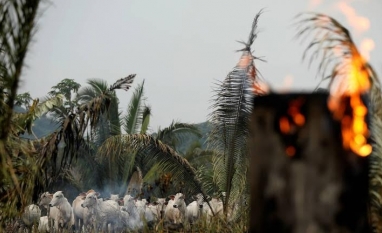 Entenda por que Brasil chega desacreditado à cúpula do clima COP26