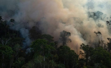 Declaração de Florestas apoia comércio agrícola livre de desmatamento