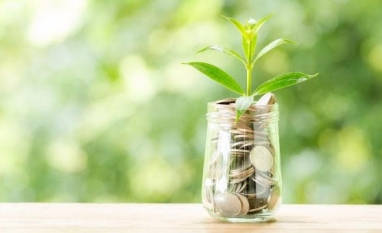 COP26: Qual o papel do empresariado brasileiro no meio ambiente?