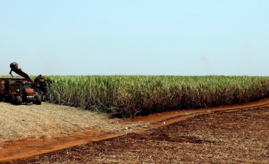 Crise de energia eleva produção de etanol e pressiona açúcar